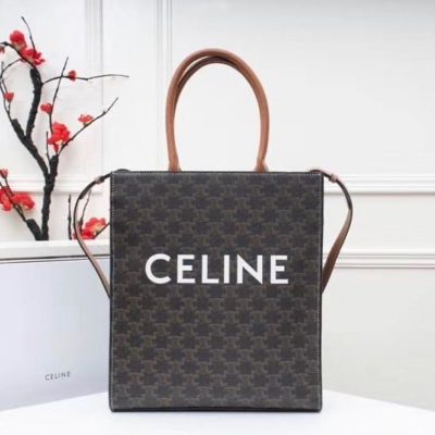 Celine Mini Vertical Cabas in Triomphe Canvas with Celine Print Bag