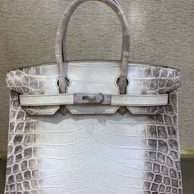 Hermès Himalaya Birkin 30 Bag