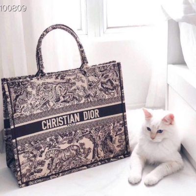 Christian Dior Tote Bag For Women